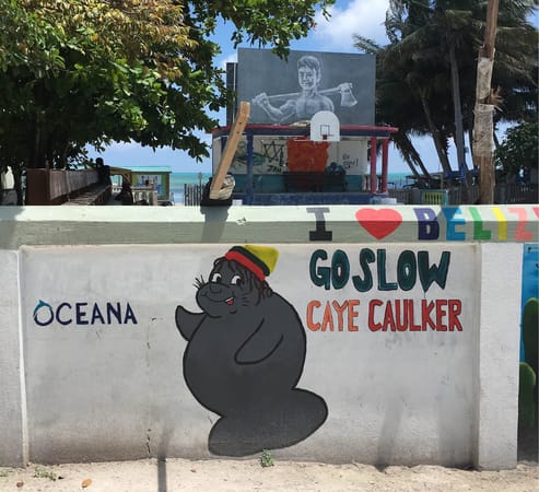 Belize: A little piece of heaven in Caye Caulker: photo 1