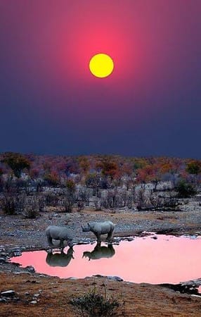Namibia in a nutshell, what you need to know before you go: photo 7
