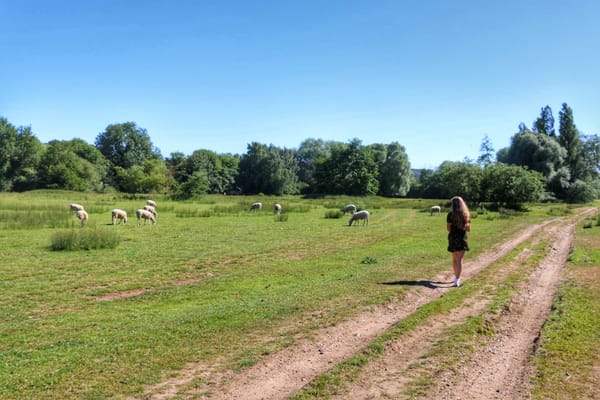 Top 7 Things to Do on Your Next Trip to Canterbury: photo 6