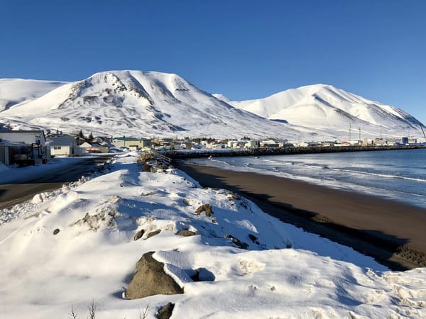 Iceland: The best of Arctic Coast Way: photo 10