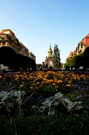 The heart of east Romania - Timişoara: photo 2