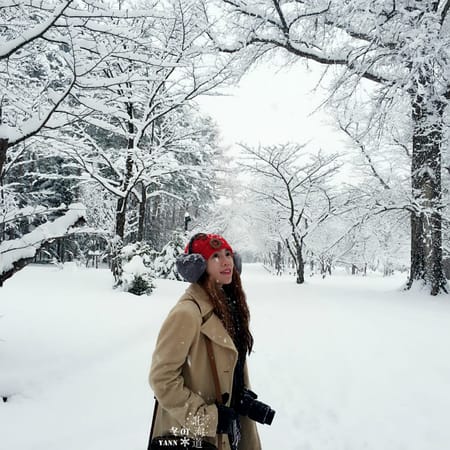 Winter Holiday in Hokkaido Japan for 7 days 5 nights: photo 4