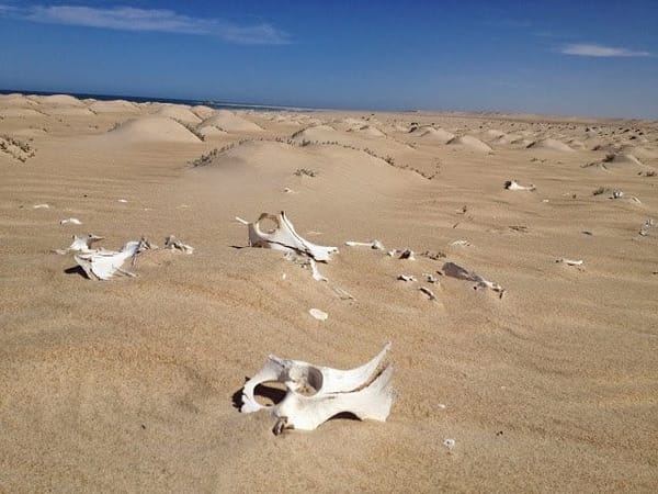 Morocco and Western Sahara: photo 13