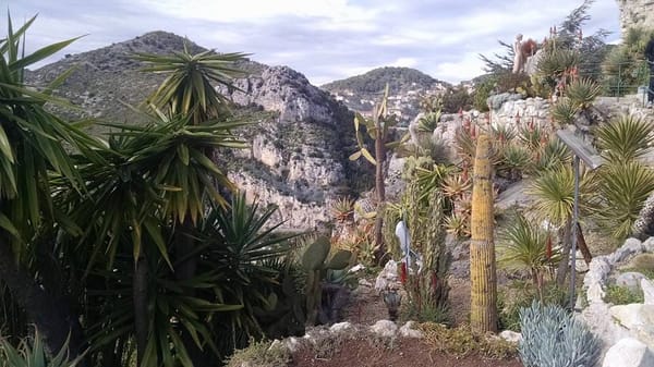 Nice, Eze, and Monaco... In One Day!: photo 4
