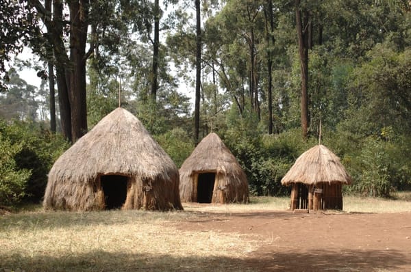 Top 5 Must Do's in Nairobi: photo 2