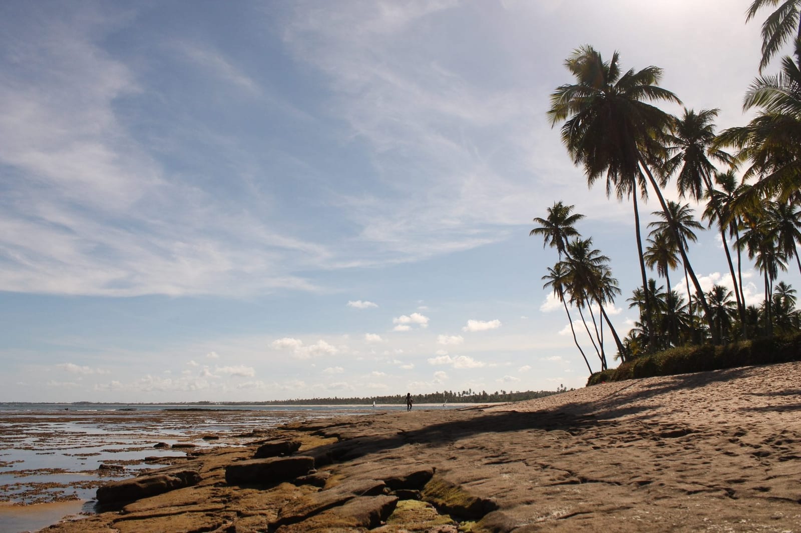 A practical guide to visiting Praia do Forte, Bahia