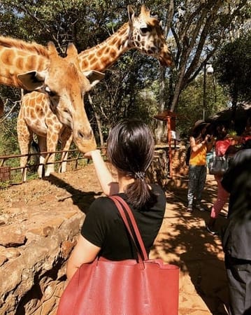 What to do, love, and see in Nairobi: photo 3