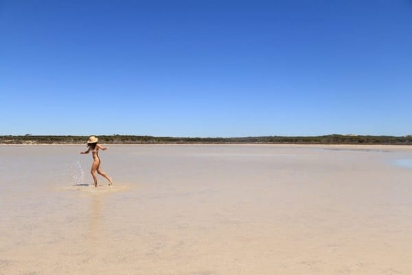 Innes National Park: The Beach Dweller: photo 8