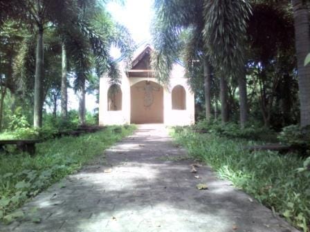 Paradise Ranch: Conservation Park in Clark Pampanga, Philippines: photo 25