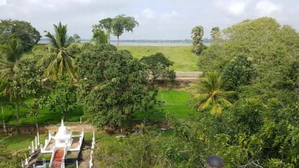 Temples, stupa’s, Bodhi tree and accommodation in Anuradhapura: photo 4