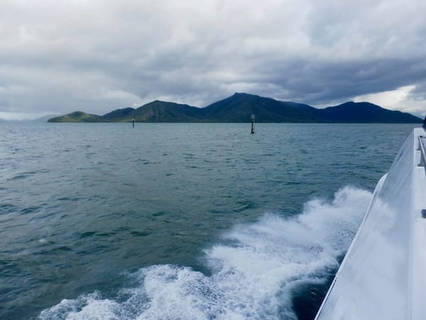 The Best of Cairns: photo 6