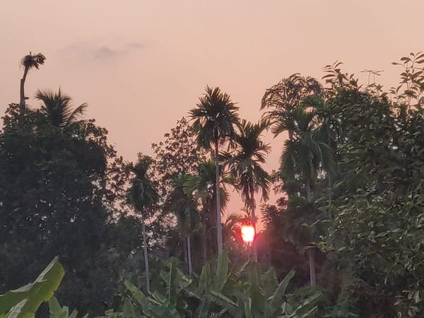 Exploring Vagamon - All in a day’s trip: photo 2