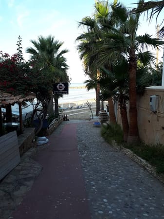 Kyllini: One of the most beautiful and undiscovered Greek beaches: photo 14