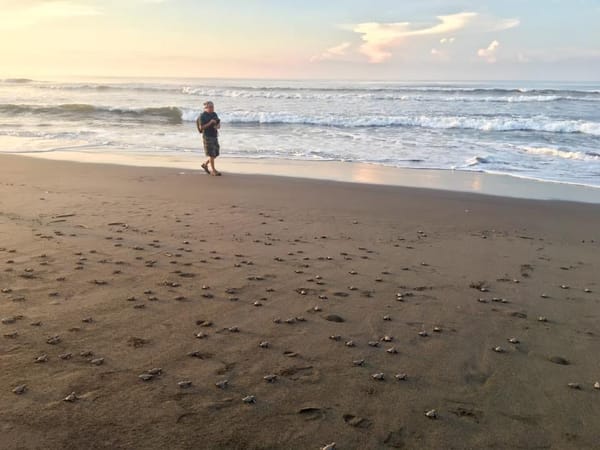 El Paredón: Guatemala’s must visit beach: photo 2