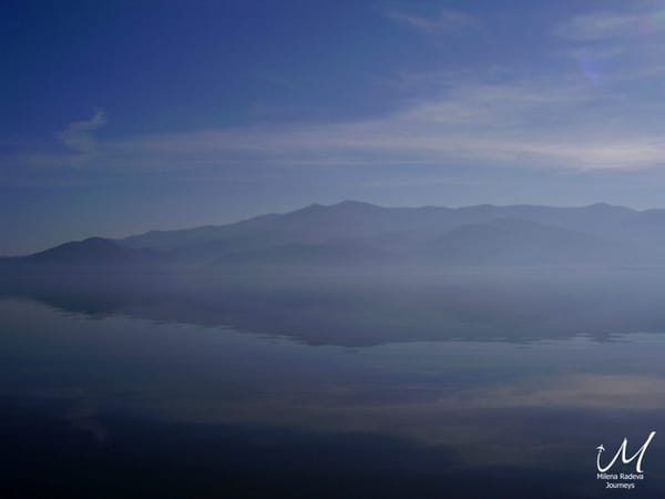 Birdwatching in Greece - Lake Kerkini: photo 12