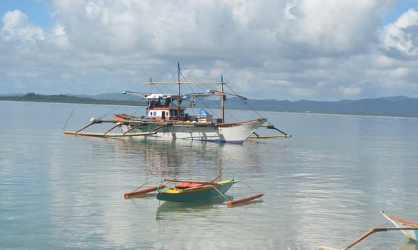 The Wonderful Beaches of Quezon Province: photo 5