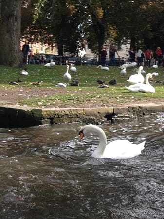 Top 10 Things to Experience in Bruges, Belgium: photo 7
