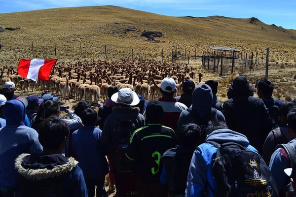 Cusco: Peruvian Food, Petting Llamas, & Quechua Living: photo 4