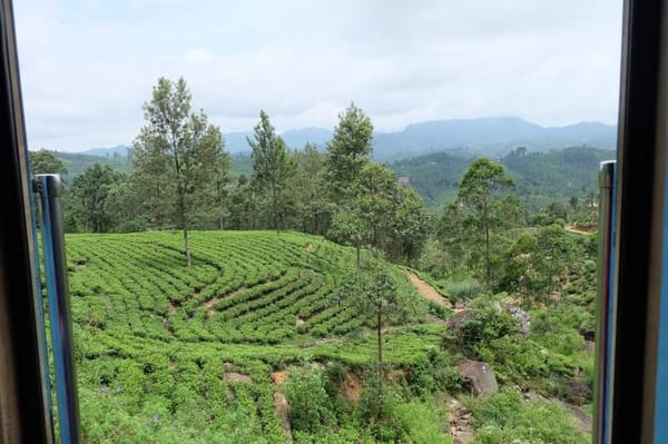 TOP 05 THINGS TO DO IN ELLA, SRI LANKA.: photo 1