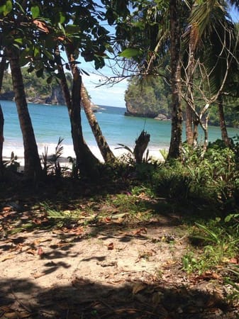 Conquering Paria the Perilous & Turtle Rock: Trinidad and Tobago: photo 13