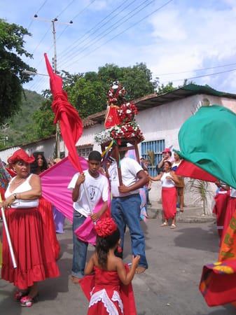 Choroní: Cloud forest, bluegreen beaches, rivers and drums: photo 6