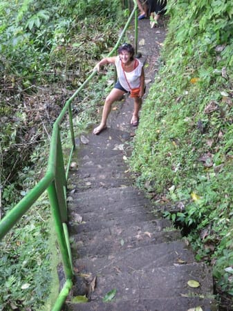 Sekumpul - Bali´s hidden Waterfall: photo 7