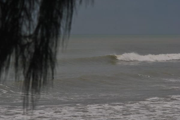 Desaru: Discovering Surfing in Malaysia: photo 6