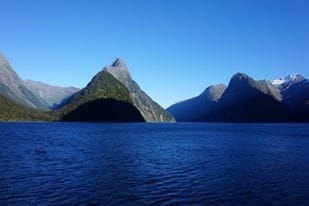 New Zealand: Budget Hacks: photo 3