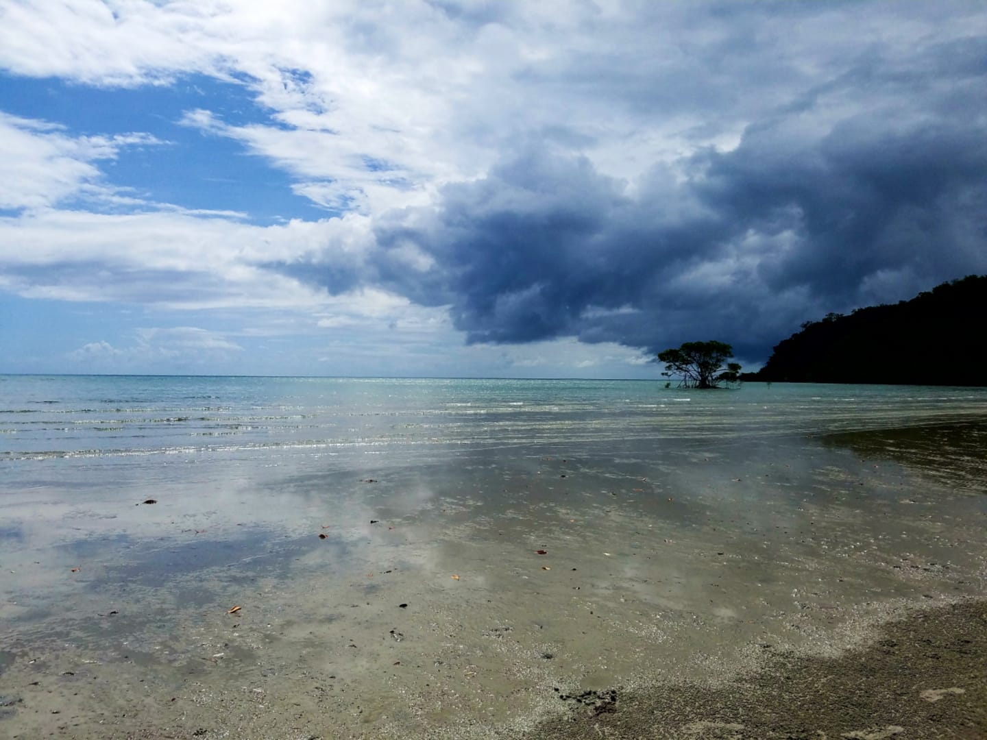 Cairns Local Adventure Guide