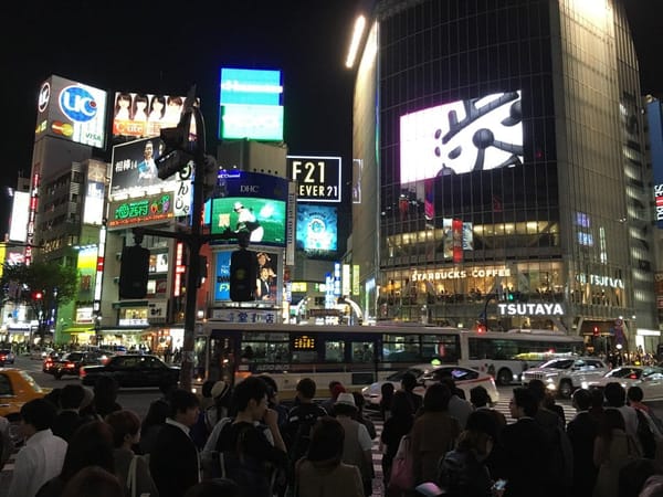 JAPAN: 10 DAYS IN TOKYO: photo 7