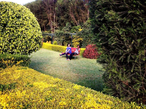 Eldoret: the party road trip: photo 4