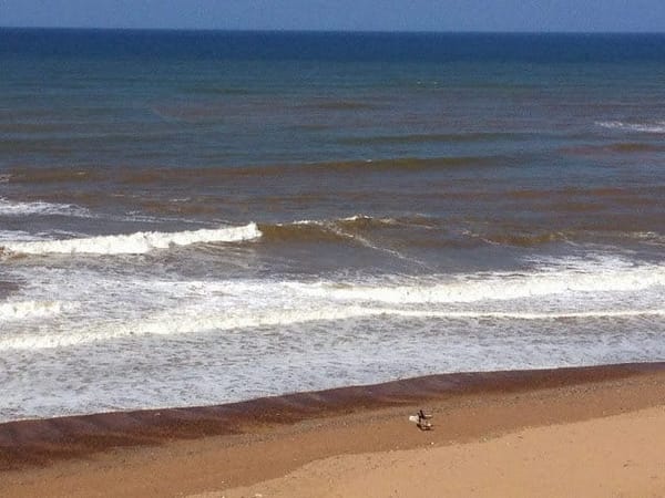 Morocco and Western Sahara: photo 21