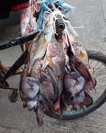 How to See Jamaica In A Low Budget: photo 2