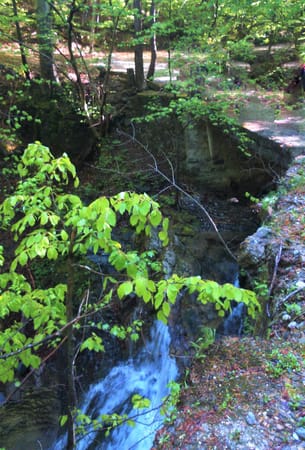 A Romanian Tale in the Cozia Mountains: photo 14