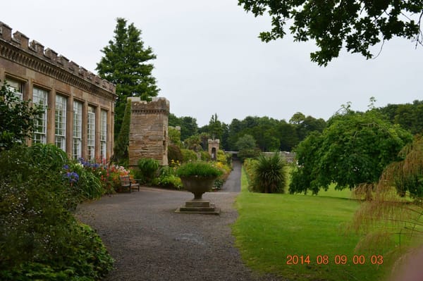 Blustery Scotland: photo 16