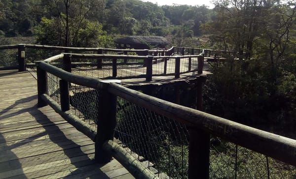 An Afternoon at the Nairobi Safari Walk.: photo 8