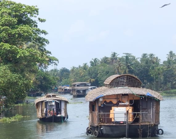 Kerala : Must Visit Places From Kochi to Thiruvananthapuram: photo 8