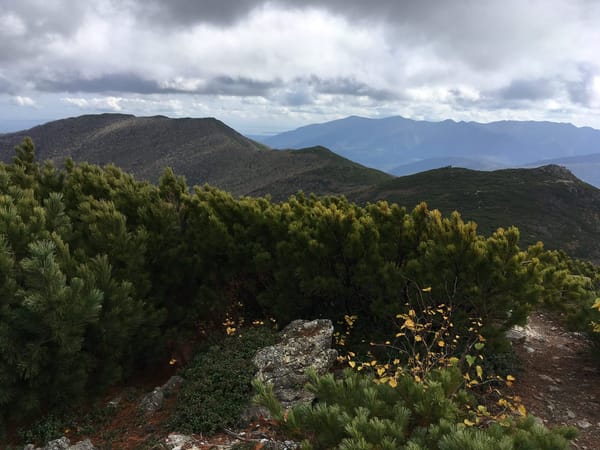 Sakhalin island: what travelers can find on the edge of the world: photo 3