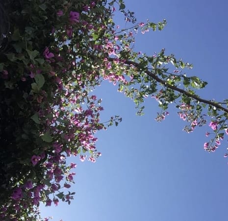 A Travel Guide to Lisbon: photo 2