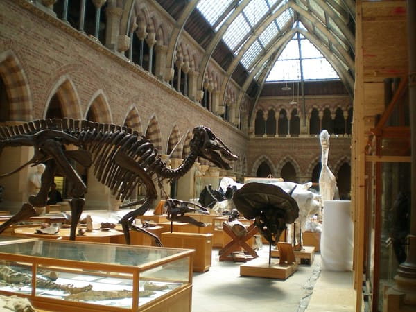 Oxford: 10 Local Gems on a Budget: photo 2