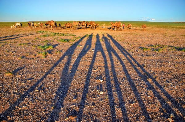 Mongolia: Lost in Gobi Desert: photo 5