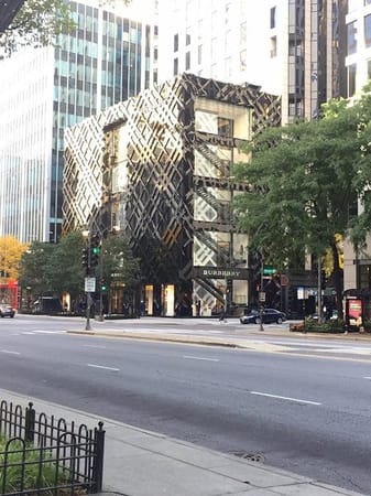 Chicago: The Magnificent Mile: photo 4