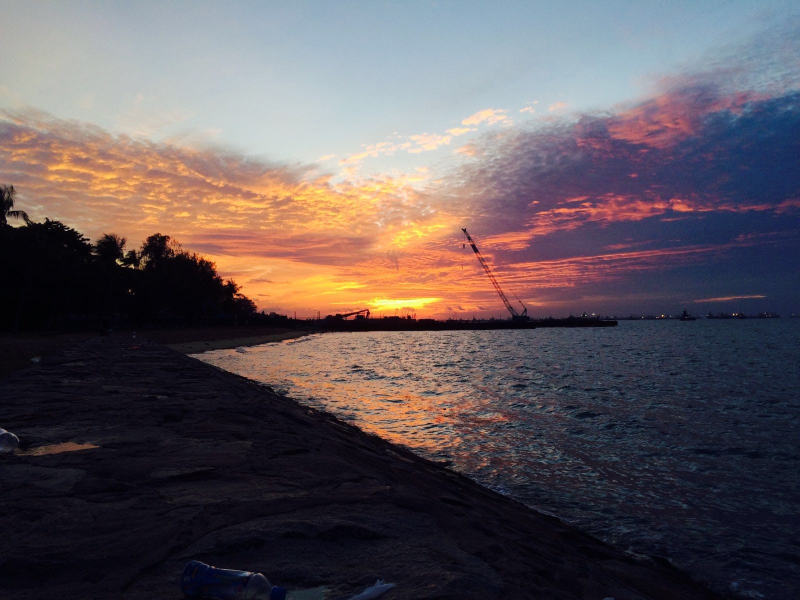 Singapore: Get Closer to Nature