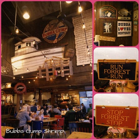 USA: Big Sur, the iconic Roadtrip: photo 9