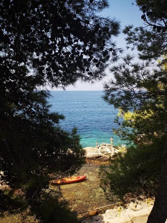 Vacation on the Dalmatian Sea: photo 1