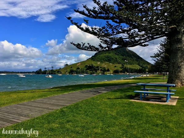 Mount Maunganui, New Zealand; A Humble Paradise: photo 8