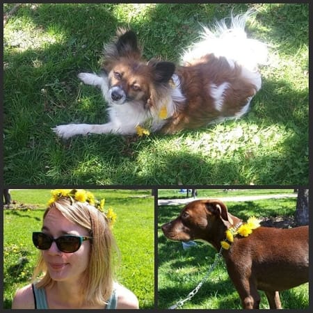 Free Things To Do in Champaign-Urbana: photo 1
