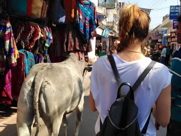 Pushkar : a pearl of Rajasthan: photo 4