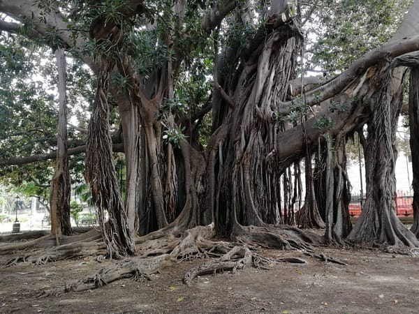 Best things to do in Palermo besides visiting churches!: photo 3