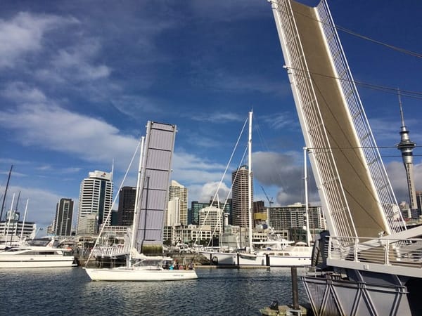 Live a year in New Zealand: photo 2